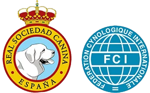 Criadero Perro de Agua Español De Miróbriga