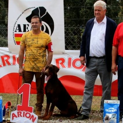 Criadero perro de agua español de Mirobriga